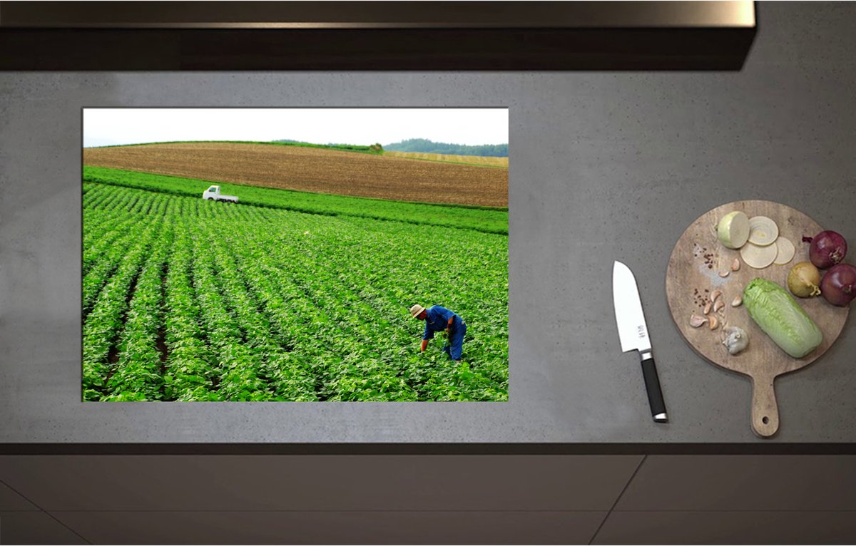 Inductieplaat Beschermer - Boer werkend op het Land vol Gewassen - 75x52 cm - 2 mm Dik - Inductie Beschermer - Bescherming Inductiekookplaat - Kookplaat Beschermer van Zwart Vinyl