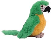 Pia Soft Toys Knuffeldier Papegaai - zachte pluche stof - premium kwaliteit knuffels - groen - 20 cm - Papegaaien