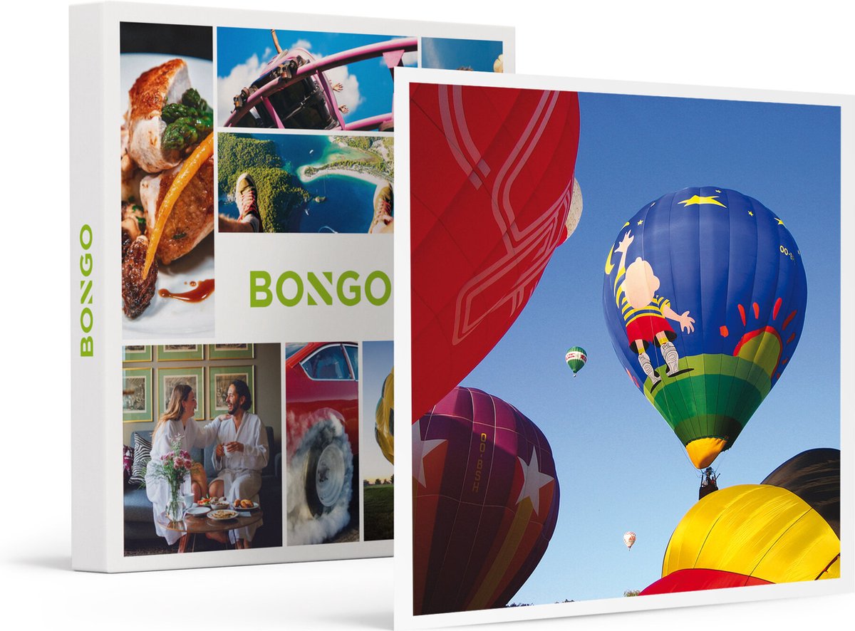 Bongo Bon - Ballonvaart Over Namen Met Champagne Voor 1 Persoon - Cadeaukaart