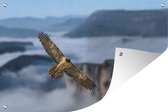 Muurdecoratie Lammergier vliegt over een berglandschap - 180x120 cm - Tuinposter - Tuindoek - Buitenposter