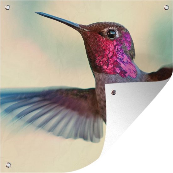 Un gros plan d'un colibri de couleur rose mâle affiche de jardin 100x100 cm - Toile de jardin / Toile d'extérieur / Peintures pour l'extérieur (décoration de jardin)