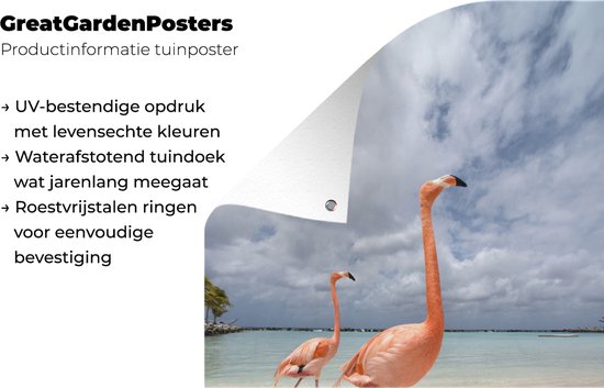 Deux flamants roses sur une île à Aruba affiche de jardin toile en vrac 40x60 cm - petit - toile de jardin / toile d'extérieur / Peintures pour l'extérieur (décoration de jardin)