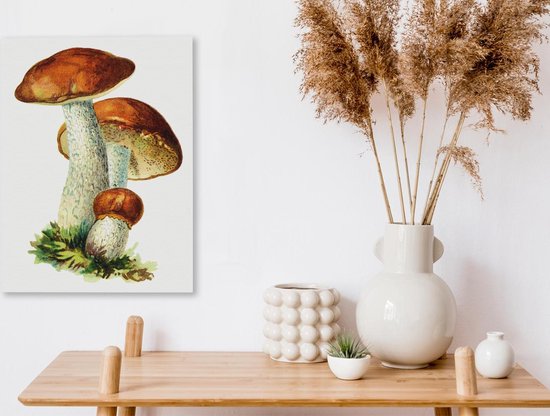 Peinture sur toile Champignons - Illustration - Rouge - Wit - 30x40 cm - Décoration murale