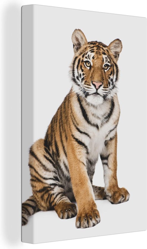 Canvas Jongens - Tijger - Dieren - Wit - Jongetje - Jongens - Kids - Kinder decoratie - Canvas kinderkamer - 90x140 cm