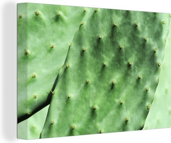 Tableau sur toile Cactus de Barbarie feuille vert menthe - 90x60 cm - Décoration murale