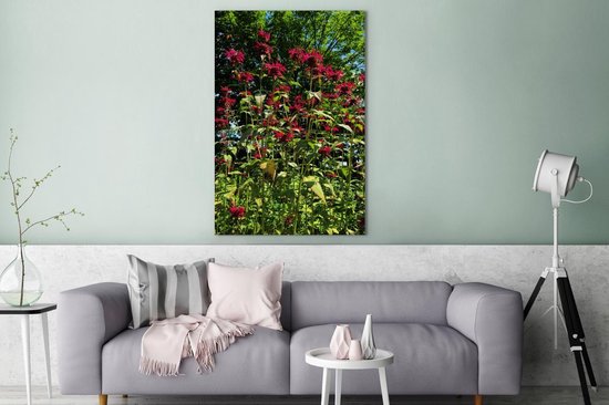Canvas Schilderij Een rode bergamot plant in het voorjaar - 80x120 cm - Wanddecoratie
