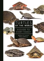 A Guide to Every Family3- Turtles of the World