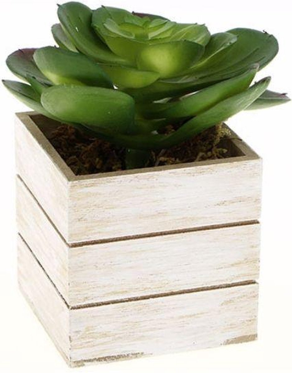 Kunstplant in houten pot H. 12cm - Kunststof|Bois - Wit - SILUMEN