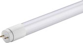 Specilights LED T8 TL Buis 60 cm 10W 3000K/4000K/6000K Vervanger voor 18W conventioneel