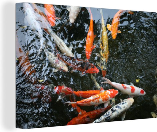 Un grand groupe de toile de carpe koi 140x90 cm - Tirage photo sur toile (Décoration murale salon / chambre) / Peintures sur toile animaux sauvages