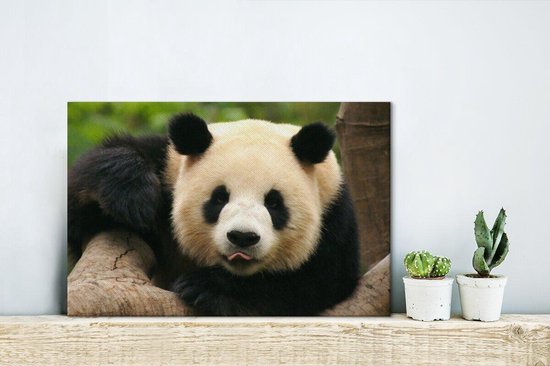 Canvas schilderij 30x20 cm - Wanddecoratie Dieren - Panda - Bomen - Muurdecoratie woonkamer - Slaapkamer decoratie - Kamer accessoires - Schilderijen op canvas