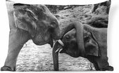 Buitenkussens - Tuin - Knuffelende olifanten in zwart-wit - 60x40 cm