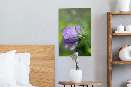 Gouttes de pluie sur la fleur d'une Campanule 20x30 cm - petit - Tirage photo sur toile (Décoration murale salon / chambre) / Peintures Fleurs sur toile
