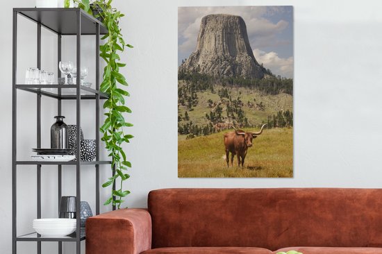Tour des Diables dans le Wyoming avec une toile de taureau 2cm 90x140 cm - Tirage photo sur toile (Décoration murale salon / chambre)