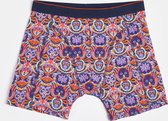 WE Fashion Heren boxershort met dessin