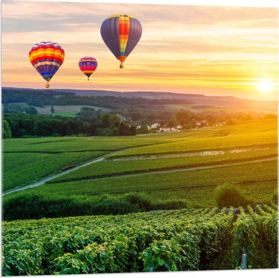 Acrylglas - Regenboogkleurige Luchtballonnen boven Landschap - 80x80cm Foto op Acrylglas (Wanddecoratie op Acrylglas)