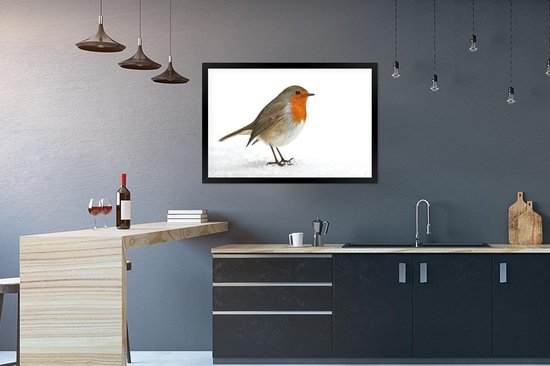 Affiche avec cadre Robin - Neige - Wit - 90x60 cm