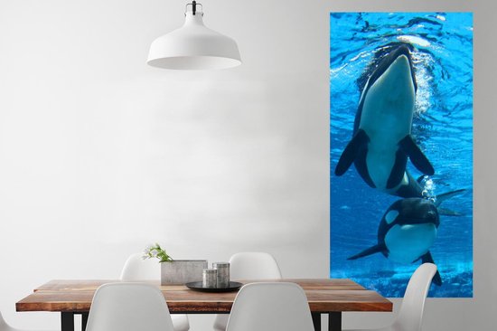 Affiche Deux orques sous l'eau - 80x160 cm