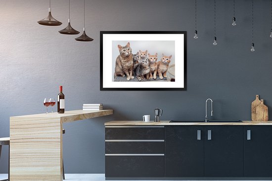 Photo encadrée - Cadre photo chatons curieux noir avec passe partout blanc 60x90 90x60 cm - Affiche encadrée (Décoration murale salon / chambre)