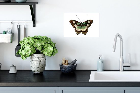 Illustration d'un papillon marron et vert 30x20 cm - petit