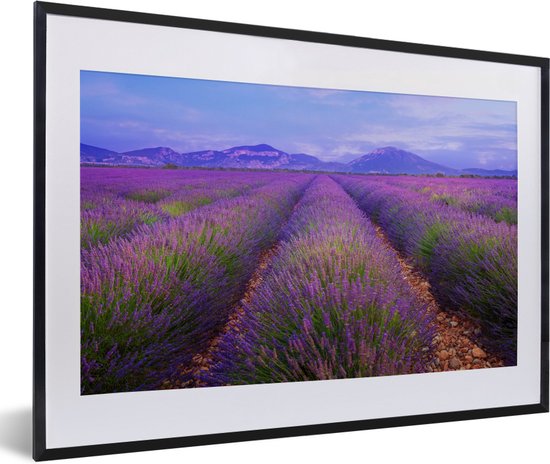 Fotolijst incl. Poster - Rijen van lavendel voor bergen - 60x40 cm - Posterlijst