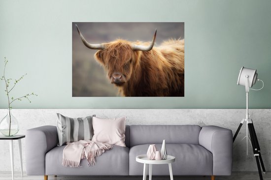 Close up of a Scottish Highlander Poster 180x120 cm - Tirage photo sur Poster (décoration murale salon / chambre) / Poster Animaux sauvages XXL / Grand format!