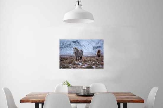 Papier affiche Chevaux islandais sur le sol enneigé