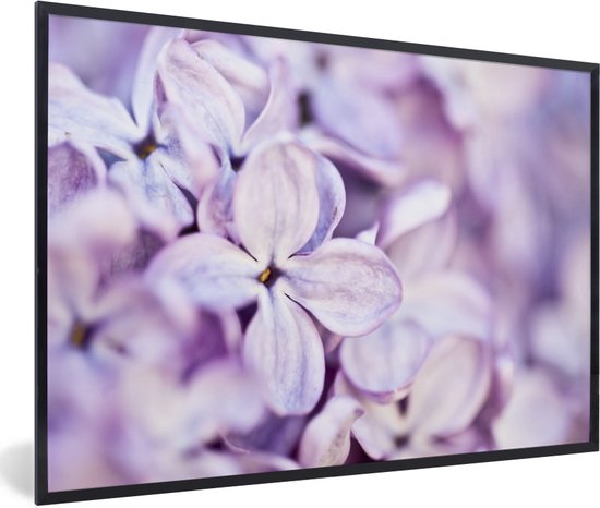 Fotolijst incl. Poster - Close up van lavendel bloemen - 60x40 cm - Posterlijst