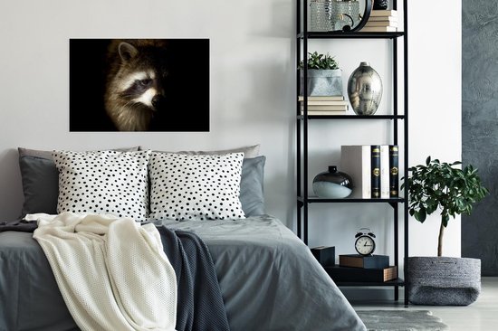 Poster Raton laveur sur fond noir papier 90x60 cm - Tirage photo sur Poster (décoration murale salon / chambre) / Poster Animaux sauvages
