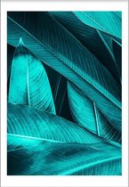 Leaves Tropics (70x100cm) - Wallified - Tekst - Zwart Wit - Poster - Wall-Art - Woondecoratie - Kunst - Posters