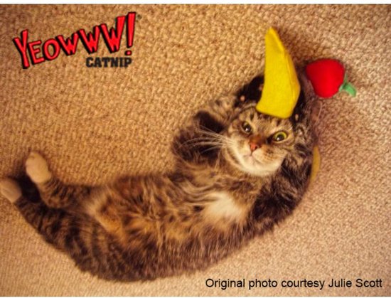 Yeowww! Banaan Kicker - Catnip Kattenkruid Speeltje voor Katten - Geel - 18 cm