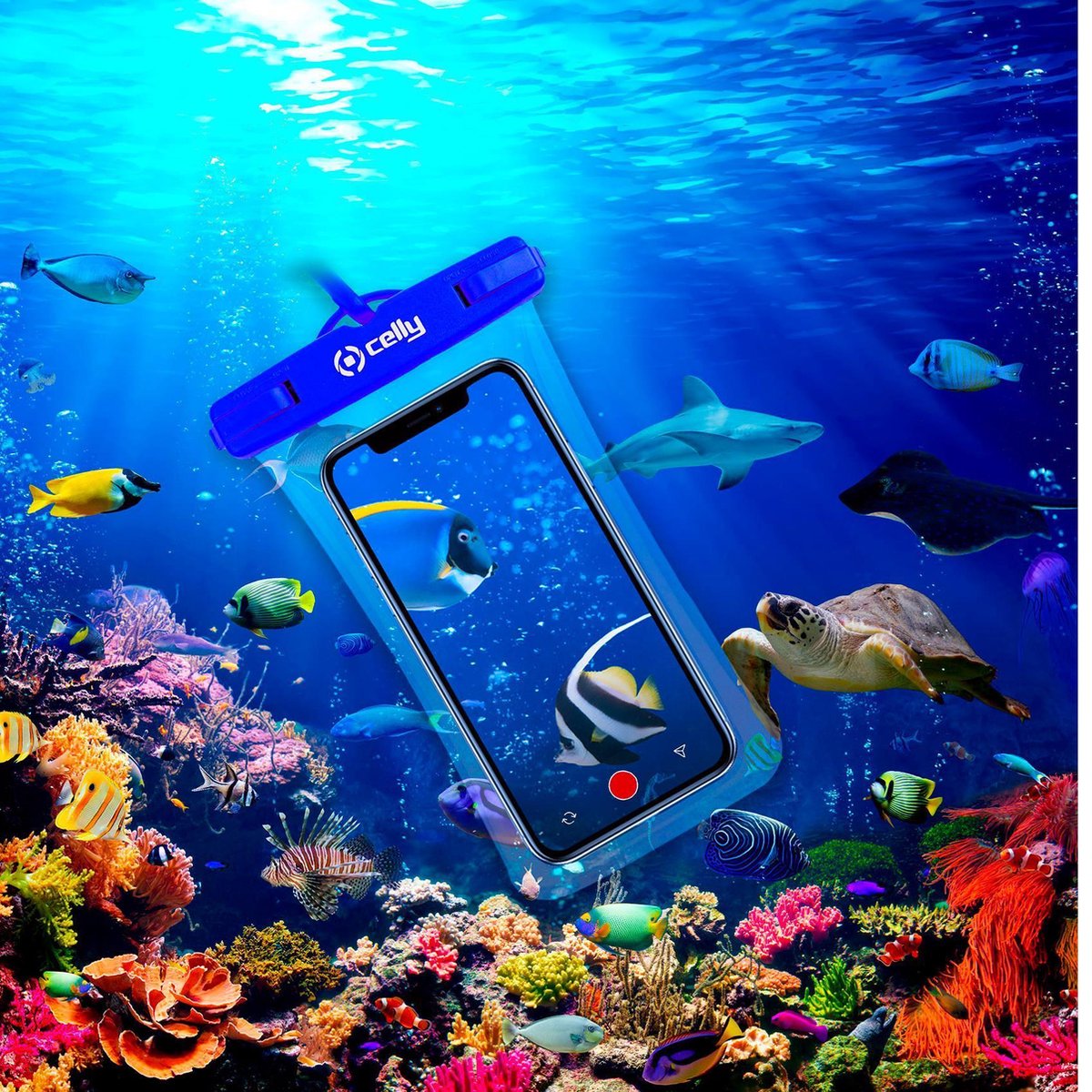 Celly - Splashbag up to 6.9 Inch