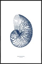 JUNIQE - Poster in kunststof lijst Nautilus Shell II -40x60 /Blauw &