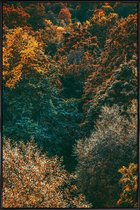 JUNIQE - Poster in kunststof lijst The Fall -40x60 /Groen & Oranje
