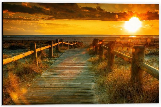 Dibond - Brug naar Zonnig Strand  - 60x40cm Foto op Aluminium (Wanddecoratie van metaal)