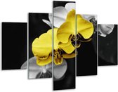 Peinture sur verre d'orchidée | Jaune, noir, gris | 100x70cm 5Liège | Tirage photo sur verre |  F002729