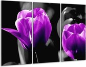 Peinture sur toile Tulipe | Violet, gris, noir | 120x80cm 3 Liège