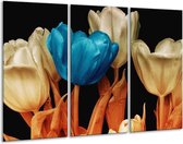 GroepArt - Schilderij -  Tulp - Blauw, Oranje, Zwart - 120x80cm 3Luik - 6000+ Schilderijen 0p Canvas Art Collectie
