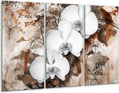 GroepArt - Schilderij -  Orchidee - Wit, Bruin - 120x80cm 3Luik - 6000+ Schilderijen 0p Canvas Art Collectie