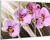 Peinture sur toile Orchidée | Vert, marron, rose | 120x80cm 3 Liège