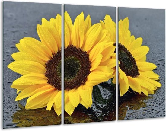 GroepArt - Schilderij -  Zonnebloem - Geel, Zwart - 120x80cm 3Luik - 6000+ Schilderijen 0p Canvas Art Collectie