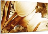 Schilderij Op Canvas Tulpen - Bruin, Wit - 120x70cm 1Luik - Foto Op Canvas - GroepArt 6000+ Schilderijen 0p Canvas Art Collectie - Wanddecoratie - Woonkamer - Slaapkamer - Canvas Print