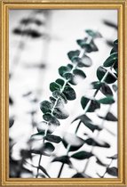 JUNIQE - Poster met houten lijst Eucalyptus 1 -20x30 /Groen & Wit