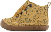 Baby | Veterschoenen | Jongens | Brown Dino Print | Leer | Shoesme | Maat 21