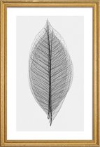 JUNIQE - Poster met houten lijst Skeleton of a Leaf -13x18 /Wit &