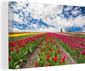 Canvas Schilderij Een rij van rode tulpen - 60x40 cm - Wanddecoratie
