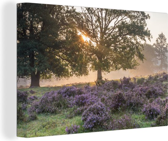 Canvas Schilderij Zonnestralen breken door boomtakken in het Nationaal Park Veluwezoom in Gelderland - 60x40 cm - Wanddecoratie