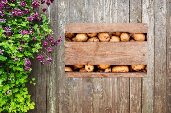 Tuin Fruit Pluk Schort, Grote Fruit Plukzak Heavy Duty Oxford Doek Keuken Oogst Fruit Groente Groene Opbergzakken Verstelbare Grootte