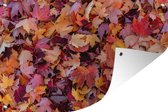 Affiche de jardin feuilles d'automne en vrac 120x80 cm - Toile de jardin / Toile d'extérieur / Peintures pour l'extérieur (décoration de jardin)