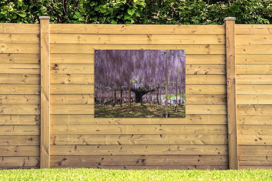 Affiche jardin - Glycine à l'ombre - 120x90 cm
